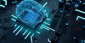 Foto: (alejomiranda/istock)