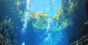 Foto: (Reprodução/Instagram @lagoamisteriosa)