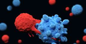 Descoberta célula que pode ajudar a combater todos os tipos de câncer