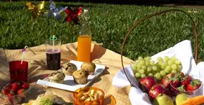 MON recebe piquenique vegano