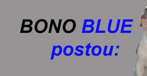 Foto: (Imagem sem texto alternativo disponivel ID [1869918])