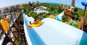 Foto: (Divulgação)