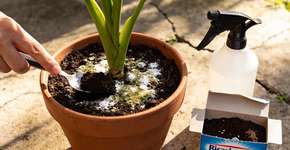 Foto: (Imagem sem texto alternativo disponivel ID [2681072])