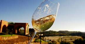 Foto: (Divulgação)