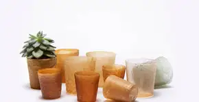 Plástico de restos de frutos do mar compõe vasos e embalagens