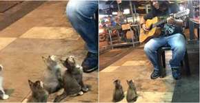 Foto: (Imagem sem texto alternativo disponivel ID [1076895])