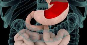 Foto: (Getty Images/iStockphoto)