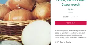 Foto: (Reprodução/Facebook)