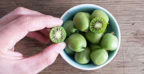 Suco de kiwi anão é capaz de inibir um tipo de câncer, diz estudo