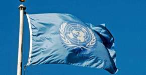 Gratuito: ONU oferece curso técnico on-line sobre meio ambiente