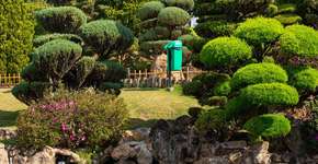 Foto: (Divulgação)