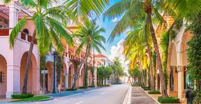 Foto: (Sean Pavone/iStock)