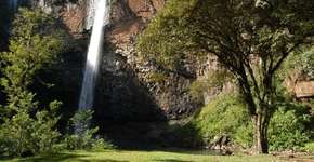 Foto: (Imagem sem texto alternativo disponivel ID [518388])