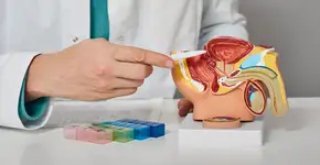 Proteger a próstata com exercícios é mais fácil do que você pensa