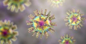 Foto: (Dr_Microbe/istock)