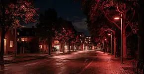 A Dinamarca está desligando a luz branca de seus postes de luz e pintando uma estrada de vermelho para resolver uma crise noturna que quase ninguém vê: a luz urbana bloqueava o caminho dos morcegos