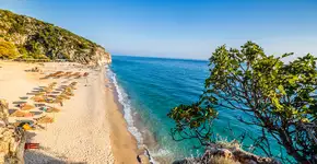 Foto: (zm_photo/iStock)