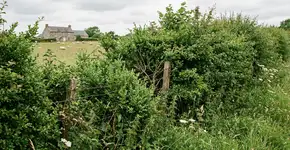 Foto: (Imagem sem texto alternativo disponivel ID [2761788])