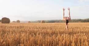 Foto: (Imagem sem texto alternativo disponivel ID [956545])