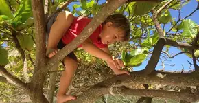 Qual é o perigo de dizer a uma criança ‘Não pode, é perigoso’?