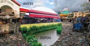 Sistema flutuante ajuda a despoluir rios, canais e córregos