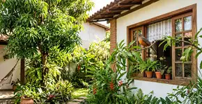 Se você ouvir pássaros cantando na sua casa ou jardim durante o dia, nós lhe contamos o que isso significa e por que é um bom sinal