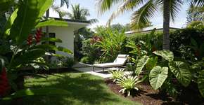 Foto: (Imagem sem texto alternativo disponivel ID [2701490])