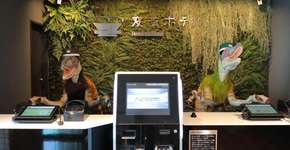 Foto: (Divulgação)