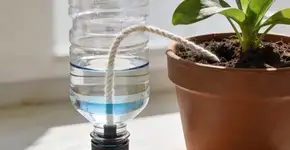 Foto: (Imagem sem texto alternativo disponivel ID [2682659])