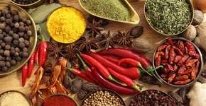 Foto: (Imagem sem texto alternativo disponivel ID [954372])