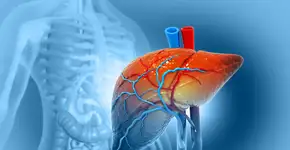 Foto: (Mohammed Haneefa Nizamudeen/istock)