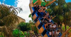 Hopi Hari oferece gratuidade para as crianças no feriado