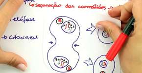 Canais no YouTube ajudam a estudar para o Enem de graça