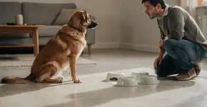 Foto: (Imagem sem texto alternativo disponivel ID [2687728])