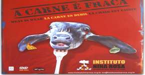 Foto: (Imagem sem texto alternativo disponivel ID [1845479])