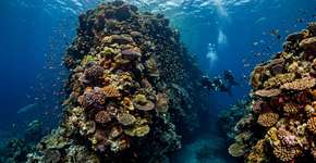 Ela tem mais de 30 metros de altura, quase 200 pés de largura na base e pode ser mais antiga que muitos monumentos famosos; agora a NOAA acredita que esse coral Maug pode conter pistas para o futuro dos recifes