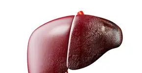 Foto: (tussiksmail/DepositPhotos)