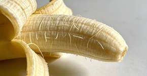 Foto: (Imagem sem texto alternativo disponivel ID [2695082])