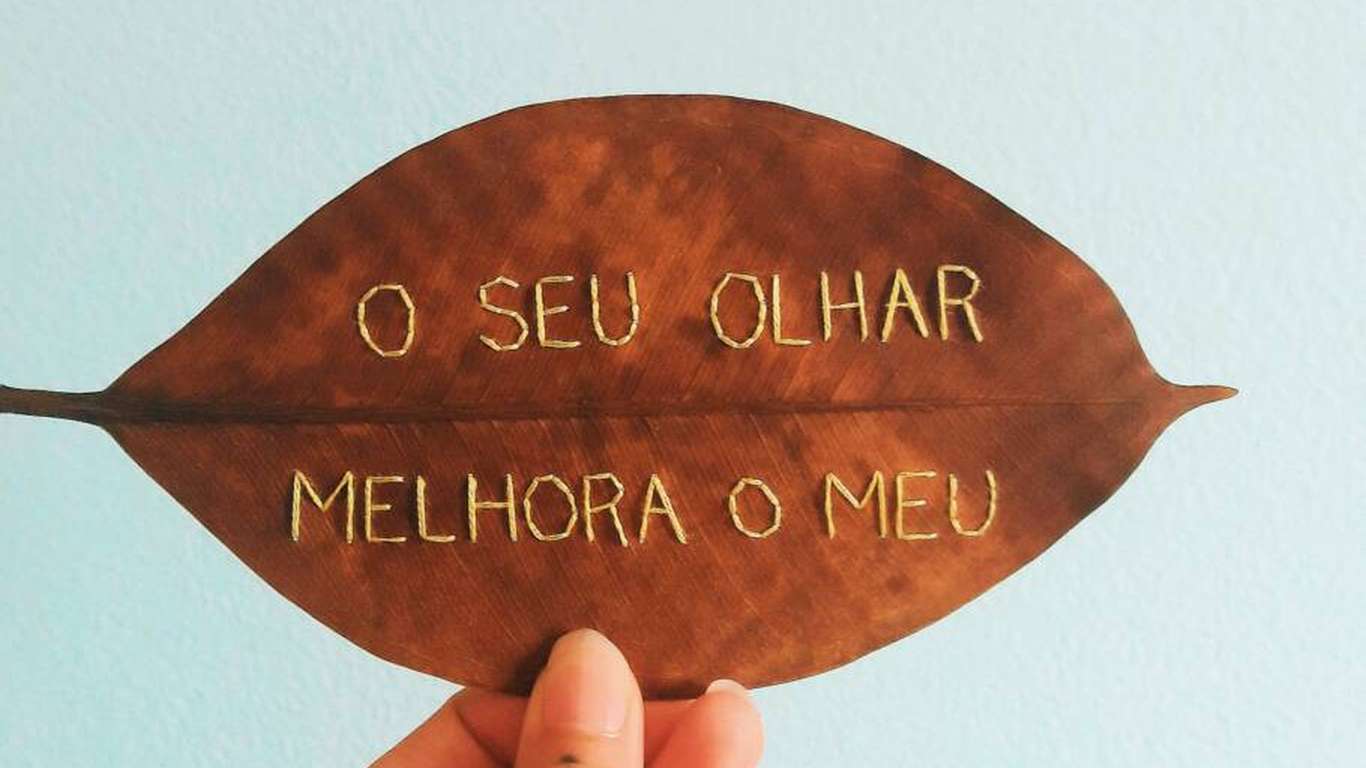 Poesia das árvores: Camélia borda palavras delicadas em folhas secas