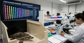 Foto: (Imagem sem texto alternativo disponivel ID [2741085])