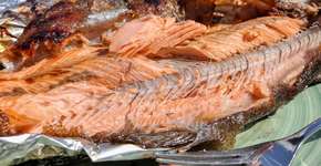 Foto: (Alex Fox/Pixabay)