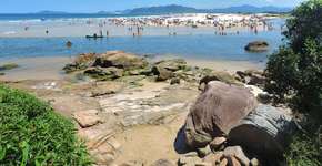 Como é acampar na praia da Guarda do Embaú, em SC