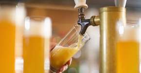 Foto: (Imagem sem texto alternativo disponivel ID [982029])