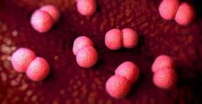 Foto: (Peddalanka Ramesh Babu/istock)