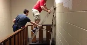 Novas imagens que explicam por que a mulher vive mais do que os homens