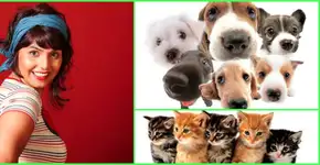 Professora já encontrou mais de 70 lares pra animais perdidos