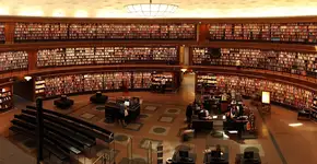 Dezenove pesquisadores brasileiros estão entre os mais citados de 2020