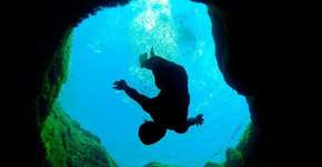 Foto: (Imagem sem texto alternativo disponivel ID [1864342])