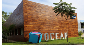 Foto: (Divulgação)