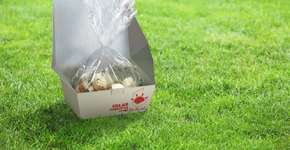 Foto: (Imagem sem texto alternativo disponivel ID [321805])